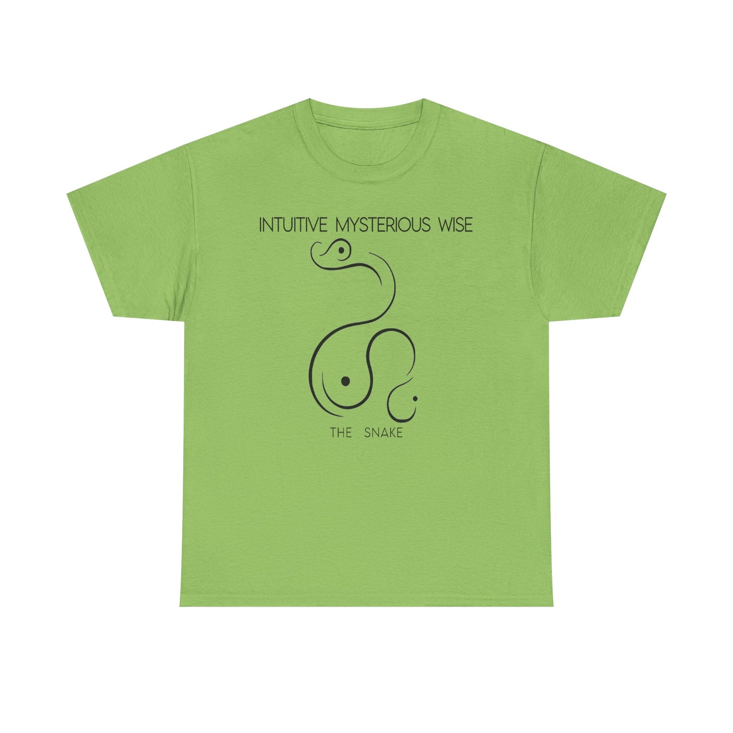 Chinese Zodiac The Snake, Positive Traits Of People Born On The Years Of Snake (1965, 1977, 1989, 2001, And 2013), Intuitive And Wise