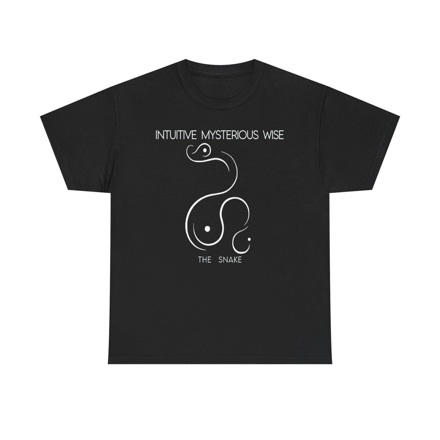 Chinese Zodiac The Snake, Positive Traits Of People Born On The Years Of Snake (1965, 1977, 1989, 2001, And 2012), Mysterious And Wise
