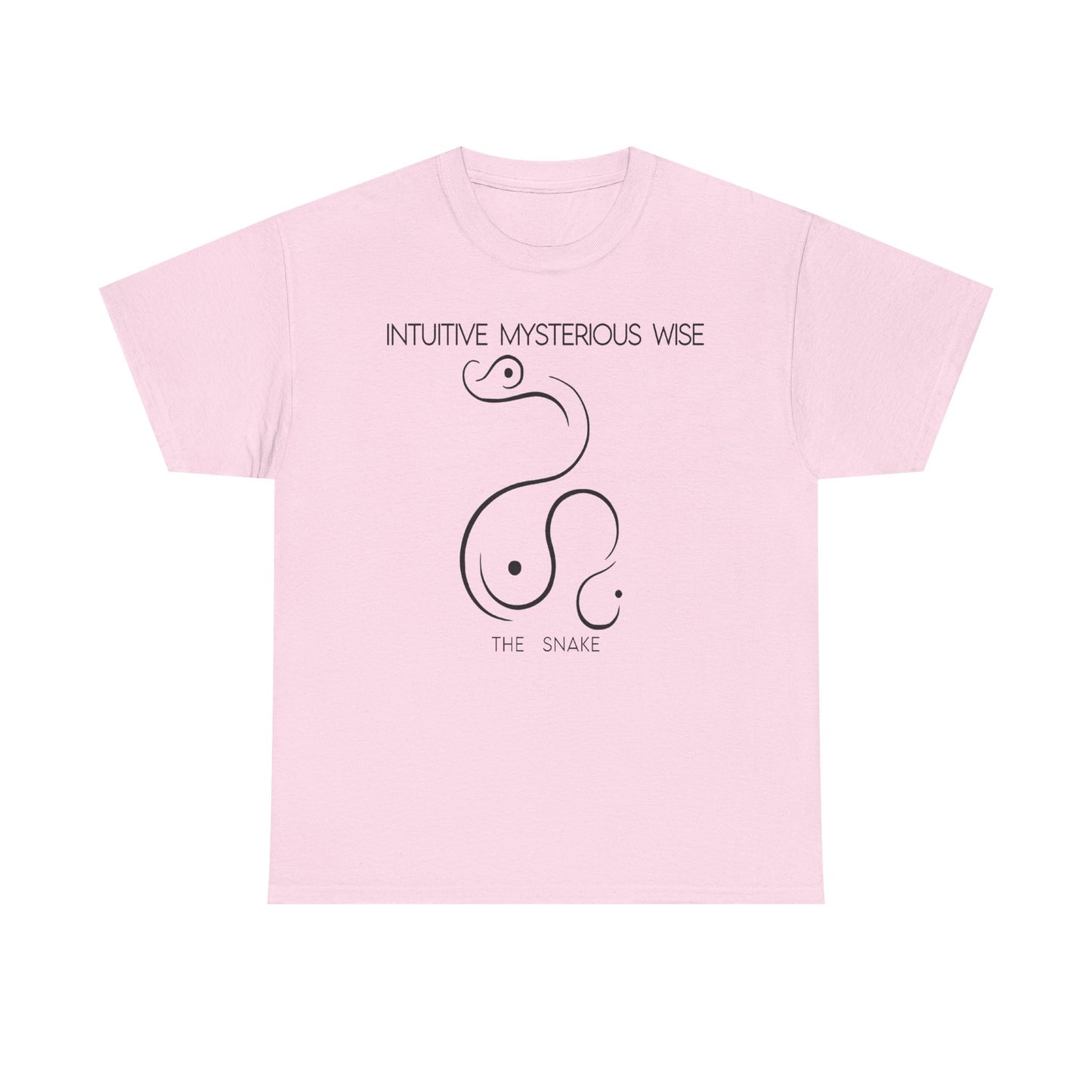 Chinese Zodiac The Snake, Positive Traits Of People Born On The Years Of Snake (1965, 1977, 1989, 2001, And 2013), Intuitive And Wise
