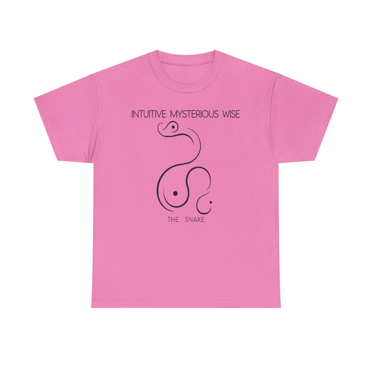Chinese Zodiac The Snake, Positive Traits Of People Born On The Years Of Snake (1965, 1977, 1989, 2001, And 2013), Intuitive And Wise