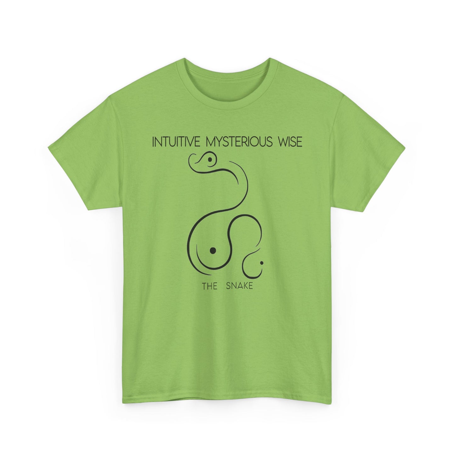 Chinese Zodiac The Snake, Positive Traits Of People Born On The Years Of Snake (1965, 1977, 1989, 2001, And 2013), Intuitive And Wise