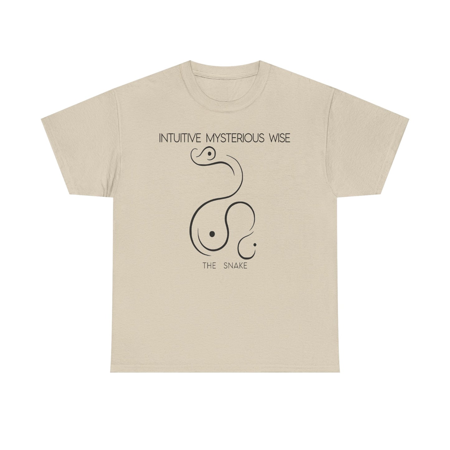 Chinese Zodiac The Snake, Positive Traits Of People Born On The Years Of Snake (1965, 1977, 1989, 2001, And 2013), Intuitive And Wise