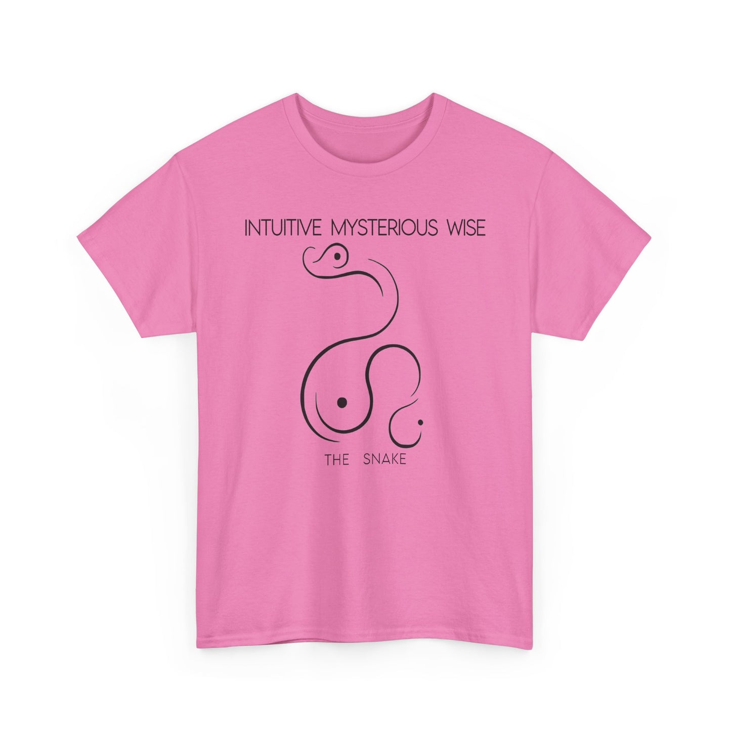 Chinese Zodiac The Snake, Positive Traits Of People Born On The Years Of Snake (1965, 1977, 1989, 2001, And 2013), Intuitive And Wise