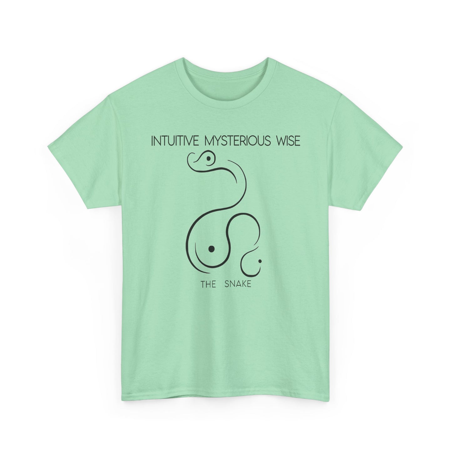 Chinese Zodiac The Snake, Positive Traits Of People Born On The Years Of Snake (1965, 1977, 1989, 2001, And 2013), Intuitive And Wise