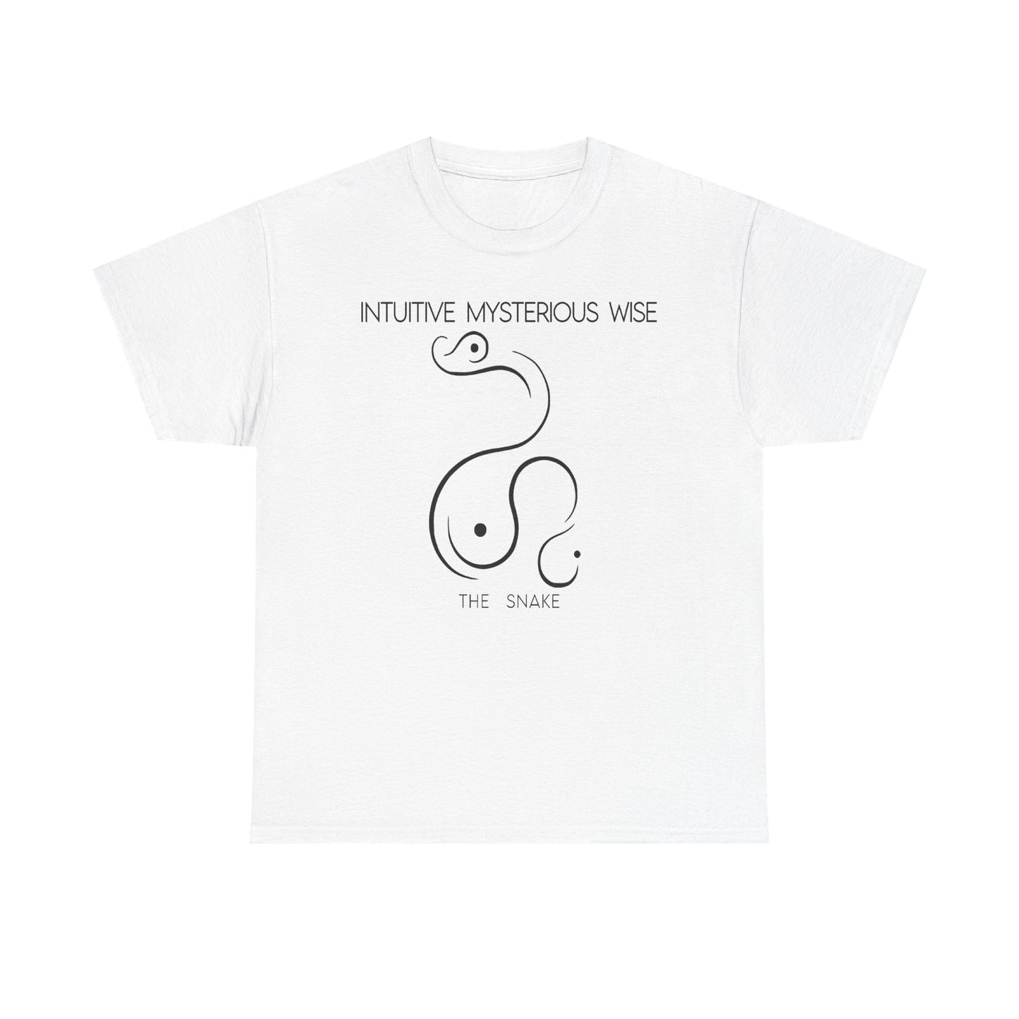 Chinese Zodiac The Snake, Positive Traits Of People Born On The Years Of Snake (1965, 1977, 1989, 2001, And 2013), Intuitive And Wise