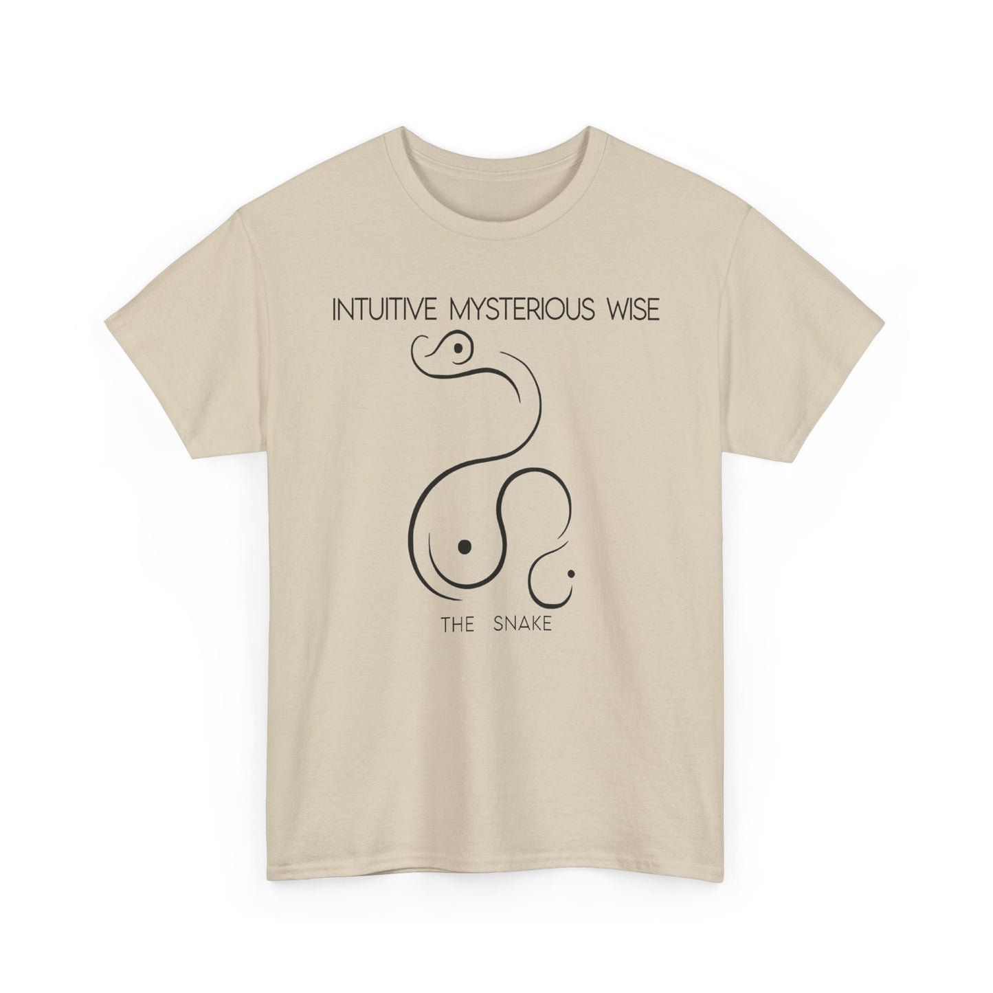 Chinese Zodiac The Snake, Positive Traits Of People Born On The Years Of Snake (1965, 1977, 1989, 2001, And 2013), Intuitive And Wise
