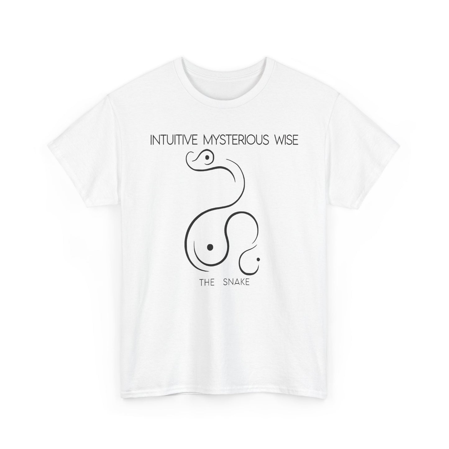 Chinese Zodiac The Snake, Positive Traits Of People Born On The Years Of Snake (1965, 1977, 1989, 2001, And 2013), Intuitive And Wise