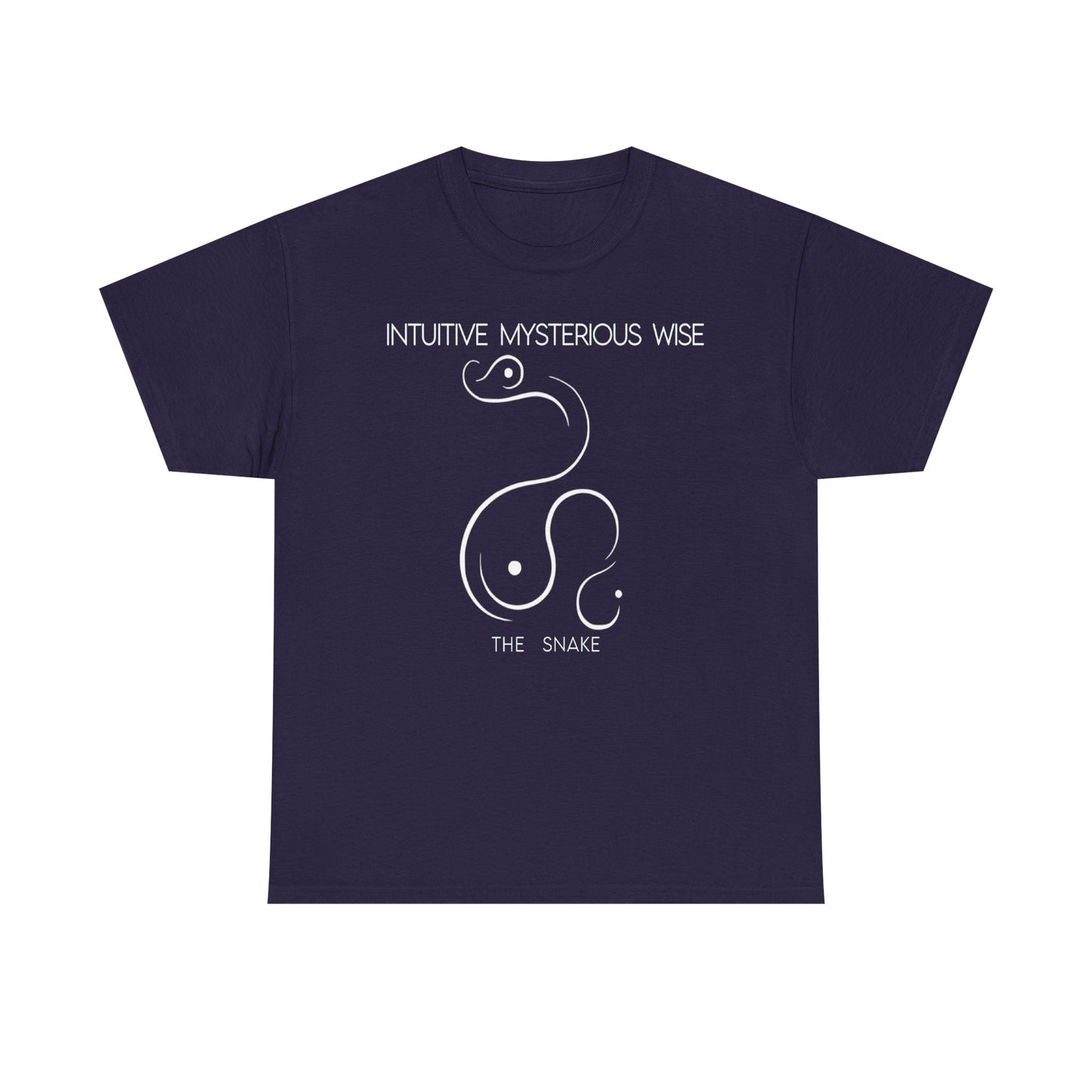 Chinese Zodiac The Snake, Positive Traits Of People Born On The Years Of Snake (1965, 1977, 1989, 2001, And 2012), Mysterious And Wise