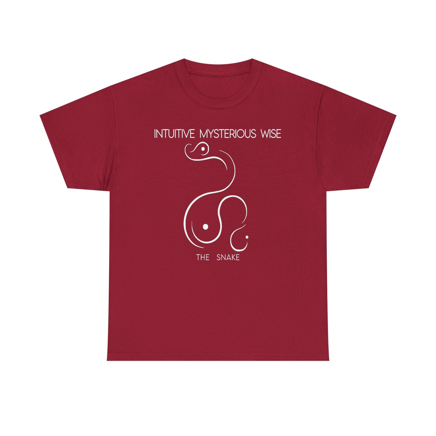 Chinese Zodiac The Snake, Positive Traits Of People Born On The Years Of Snake (1965, 1977, 1989, 2001, And 2012), Mysterious And Wise