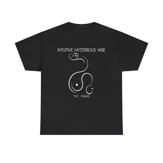 Chinese Zodiac The Snake, Positive Traits Of People Born On The Years Of Snake (1965, 1977, 1989, 2001, And 2012), Mysterious And Wise